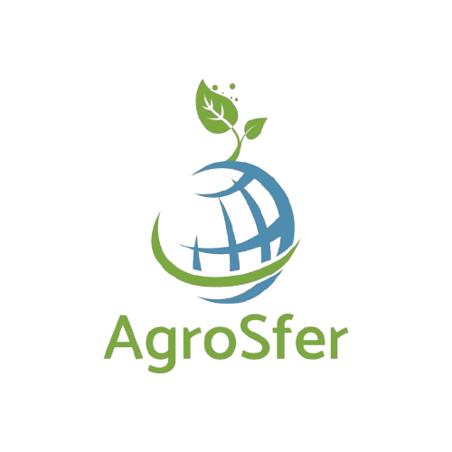 WhatsApp_Image_2026-02-17_at_18.44.11-removebg-preview